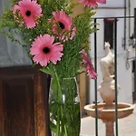 Plaza Appartement Cordoue