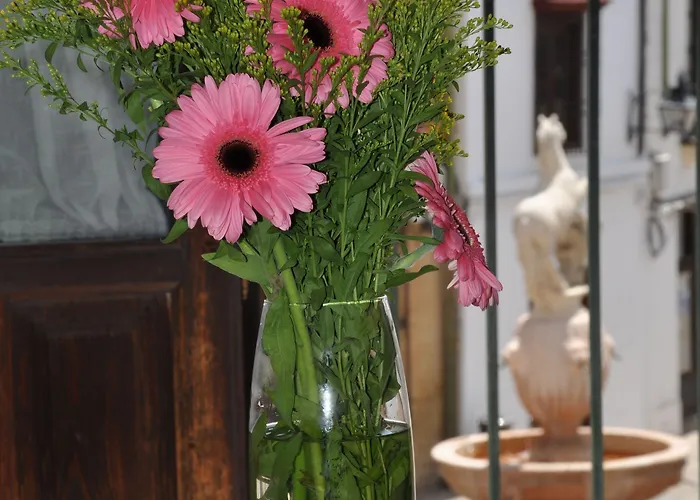 Plaza 아파트 코르도바